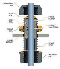 i Gland Section Diagram1