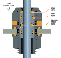 i Gland Section Diagram2 transparent background